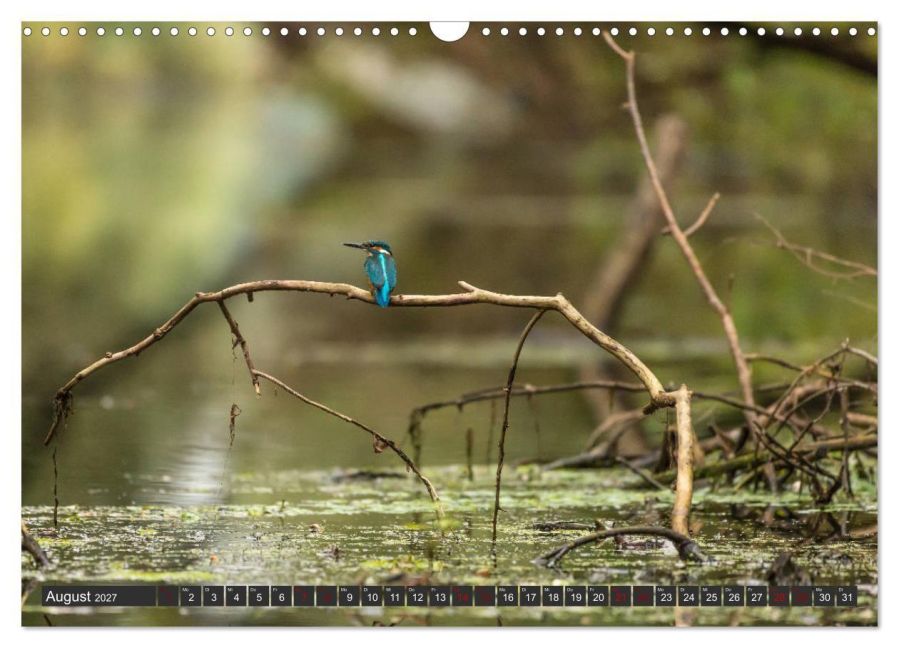 InsideView 13