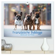Französische Bulldogge - Clowns auf vier Pfoten (hochwertiger Premium Wandkalender 2026 DIN A2 quer), Kunstdruck in Hochglanz - Sabrina Wobith Photography - FotosVonMaja