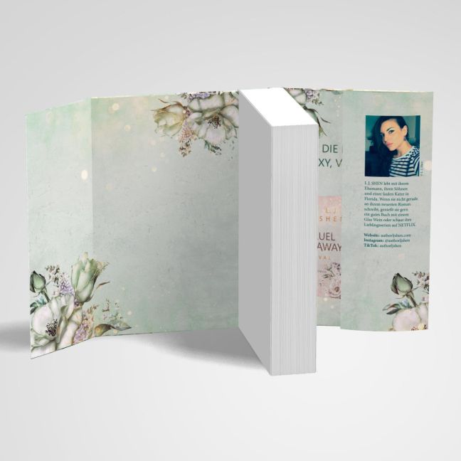 InsideView 6