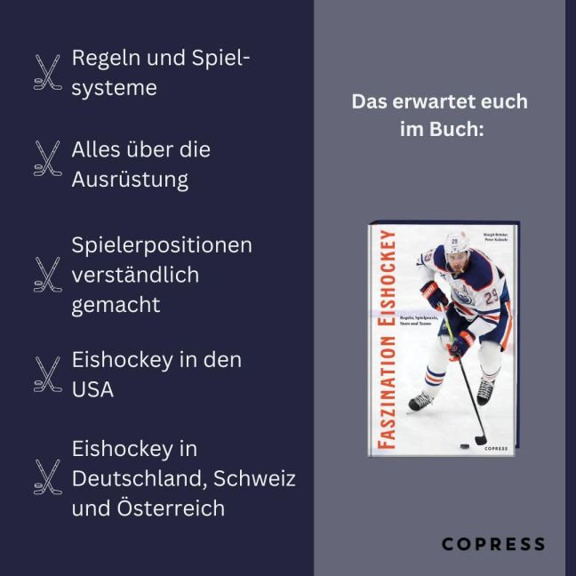 InsideView 2