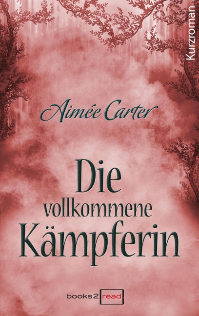 Die vollkommene Kämpferin - Aimée Carter