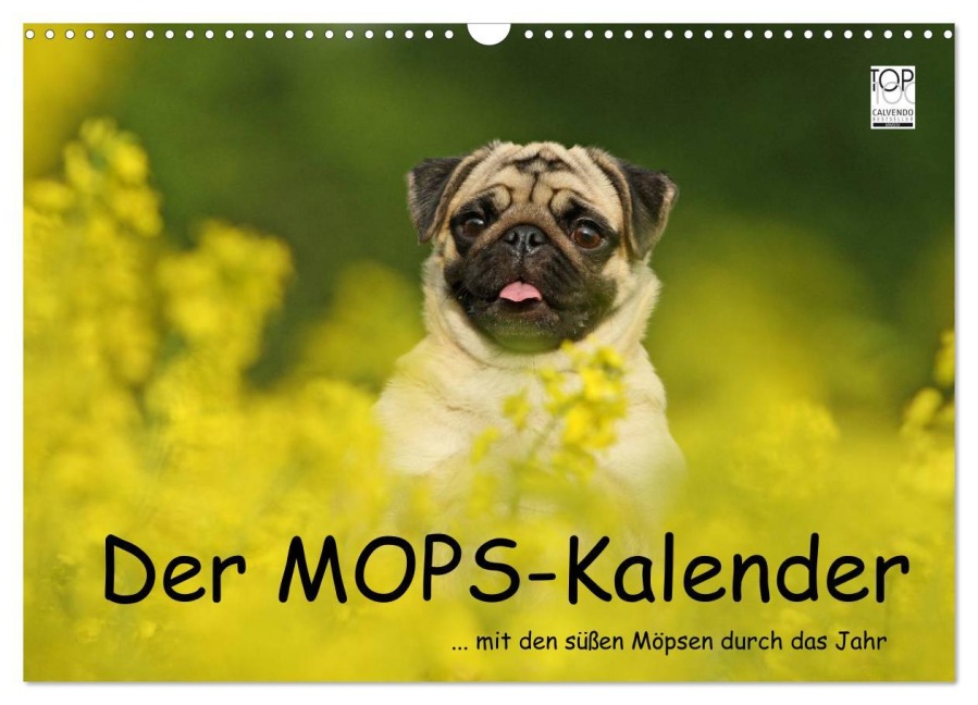 Der MOPS-Kalender (Wandkalender 2025 DIN A3 quer), CALVENDO Monatskalender - Kathrin Köntopp