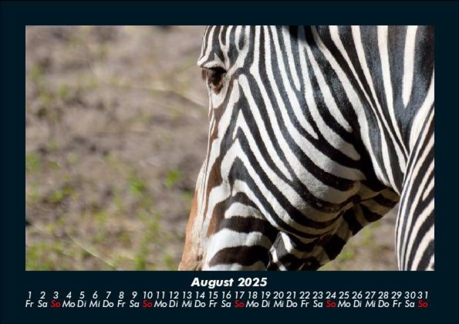 InsideView 12