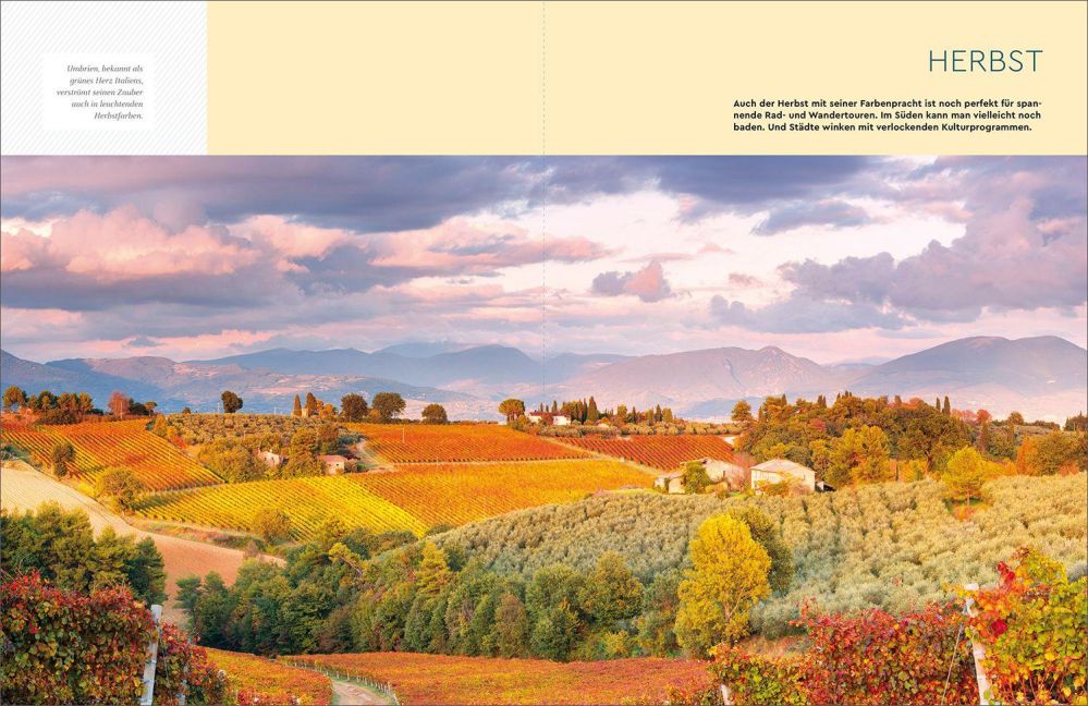 InsideView 6