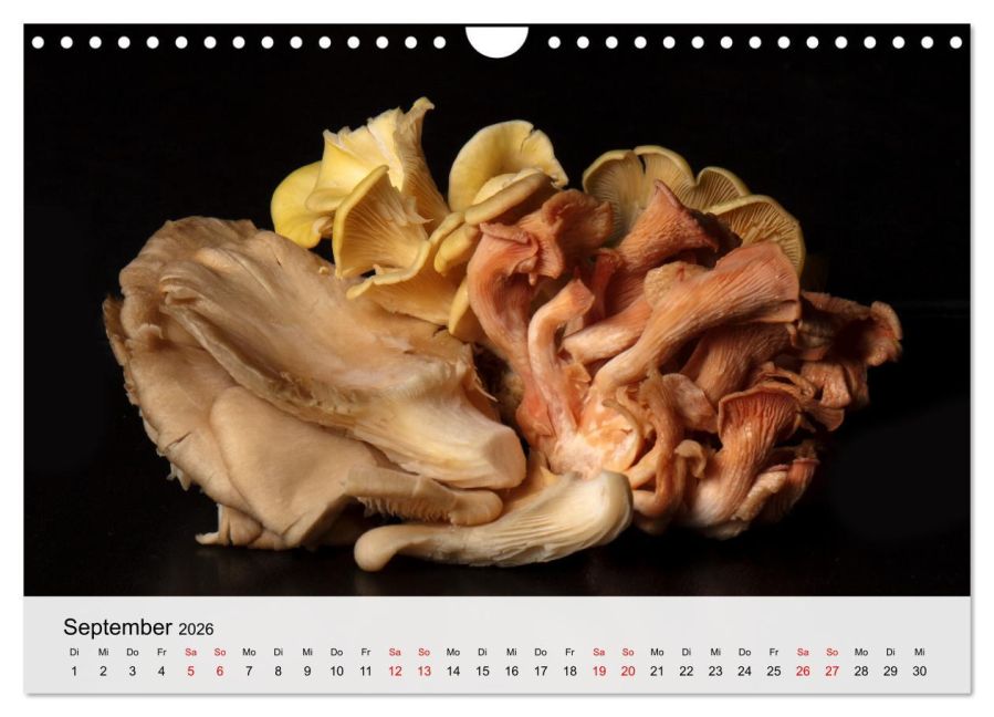 InsideView 14