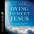 Dying to Meet Jesus Lib/E: How Encountering Heaven Changed My Life - John Burke, John Burke