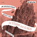 Cover-Bild zum Titel 'Im Sturm der Echos' von 'Christelle Dabos'