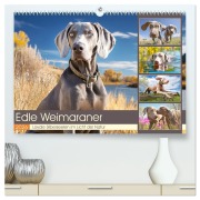 Edle Weimaraner. Loyale Silberseelen im Licht der Natur (hochwertiger Premium Wandkalender 2026 DIN A2 quer), Kunstdruck in Hochglanz - Rose Hurley