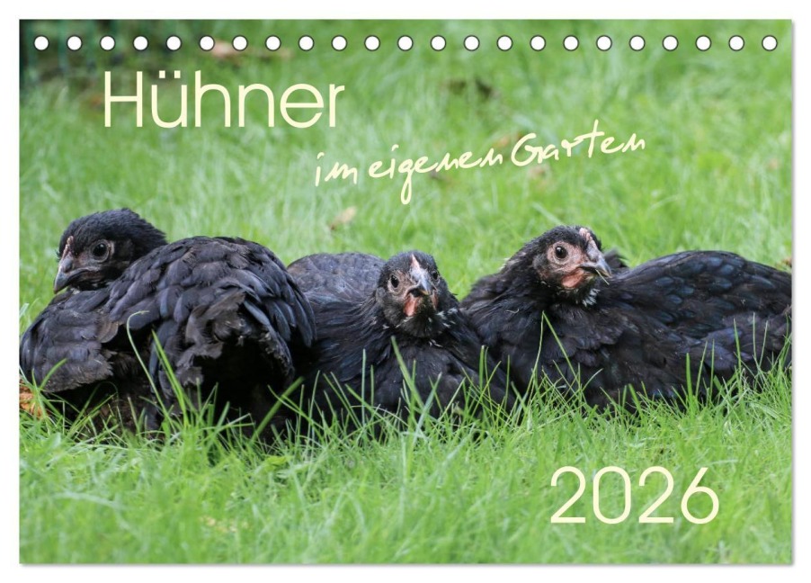Hühner im eigenen Garten (Tischkalender 2026 DIN A5 quer), CALVENDO Monatskalender - Nicole Stephan