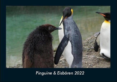 Pinguine & Eisbären 2022 Fotokalender DIN A4 - Tobias Becker