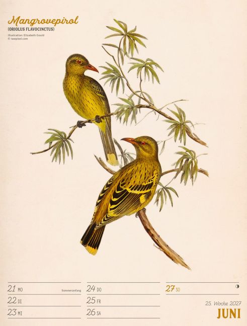 InsideView 29