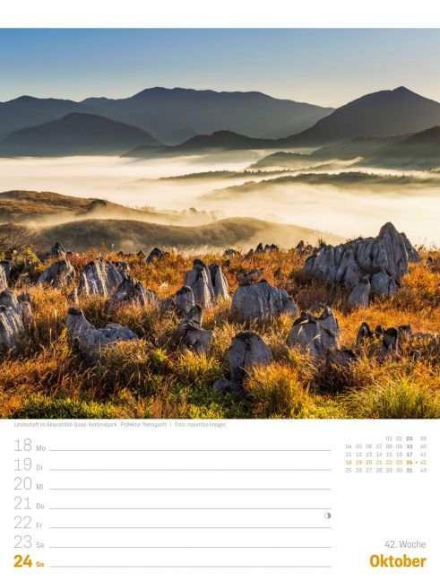 InsideView 46