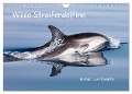 Wilde Streifendelfine im Golf von Korinth (Wandkalender 2024 DIN A4 quer), CALVENDO Monatskalender - Jörg Bouillon