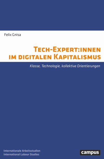 Tech-Expert:innen im digitalen Kapitalismus - Felix Gnisa