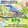 Cover-Bild zum Titel 'Uspokajaj¿ce odg¿osy natury (bez muzyki) u¿atwiaj¿ce g¿¿boki sen, medytacj¿, relaks' von 'Liliana Lis'