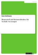 Wasserstoff und Brennstoffzellen - Die Technik von morgen - Sven Geitmann