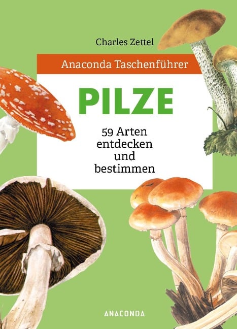 Anaconda Taschenführer Pilze. 59 Arten entdecken und bestimmen - Charles Zettel