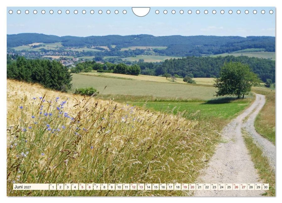 InsideView 11