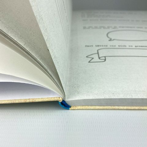 InsideView 6