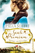 Cover-Bild zum Titel 'Saale Premium - Die Frauen vom Weinschloss' von 'Paula Seifert'