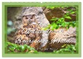 Nationalpark Bayrischer Wald - Die Stärke der Natur (Wandkalender 2024 DIN A2 quer), CALVENDO Monatskalender - Bettina Hackstein