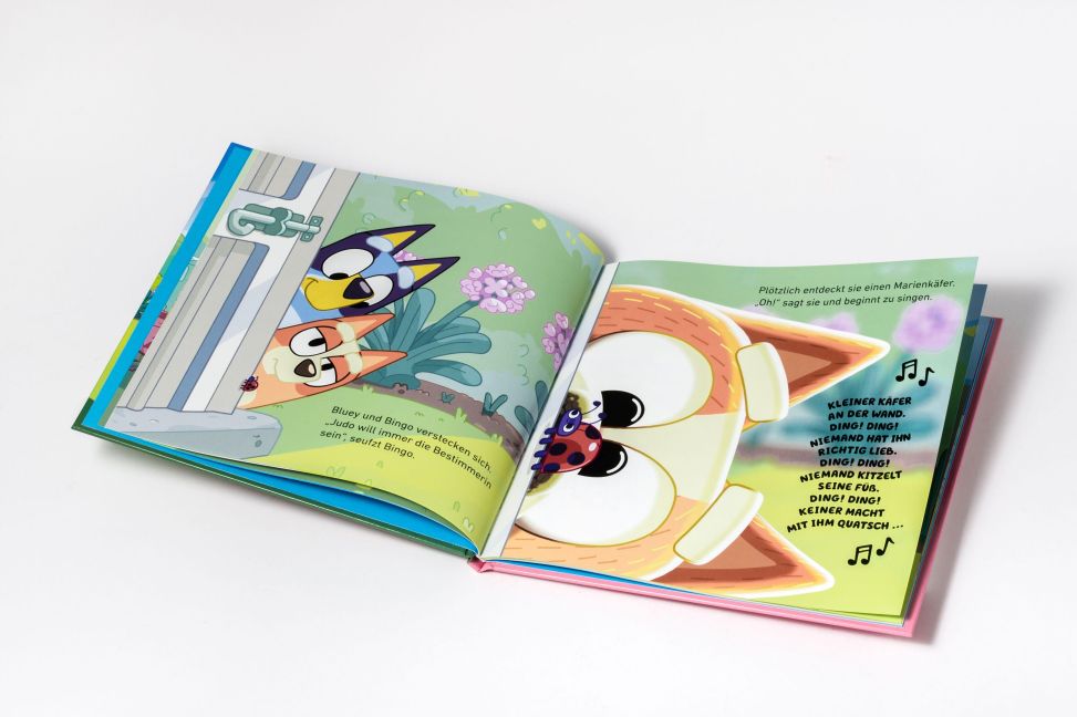 InsideView 6