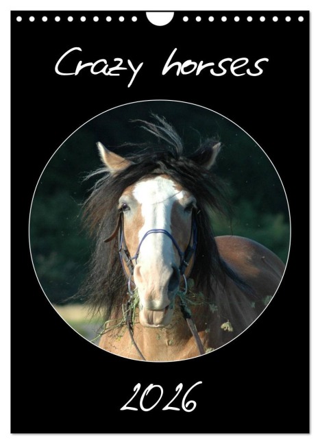 Crazy horses (Wandkalender 2026 DIN A4 hoch), CALVENDO Monatskalender - Claudia Lampert