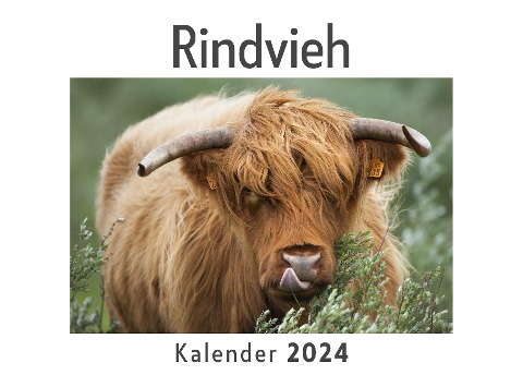 Rindvieh (Wandkalender 2024, Kalender DIN A4 quer, Monatskalender im Querformat mit Kalendarium, Das perfekte Geschenk) - Anna Müller