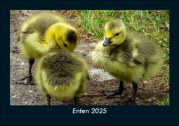 Cover-Bild zum Titel 'Enten 2025 Fotokalender DIN A5' von 'Tobias Becker'