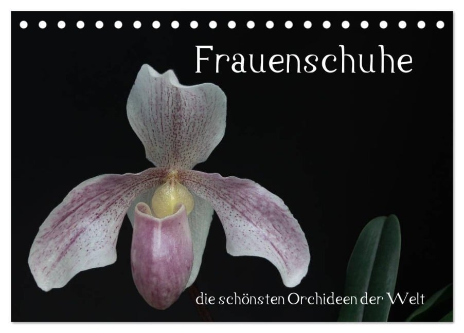 Frauenschuhe - die schönsten Orchideen der Welt (Tischkalender 2026 DIN A5 quer), CALVENDO Monatskalender - Holger Rochow