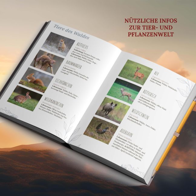 InsideView 4