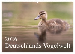 Deutschlands Vogelwelt (Wandkalender 2026 DIN A2 quer), CALVENDO Monatskalender - Thies Wiechert