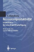 Ressourcenproduktivität - Raimund Bleischwitz
