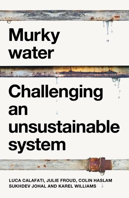 Murky Water - Luca Calafati, Julie Froud, Colin Haslam, Sukhdev Johal, Karel Williams