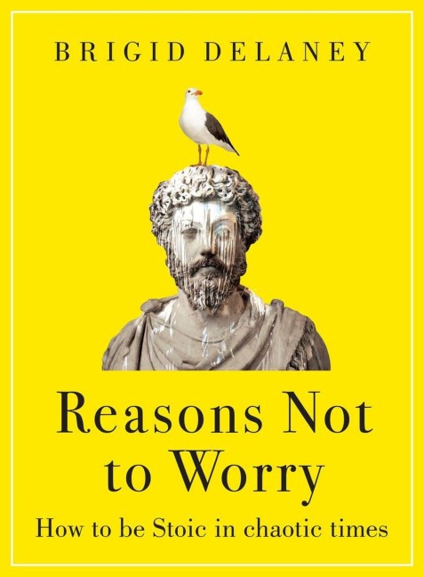 Reasons Not to Worry - Brigid Delaney