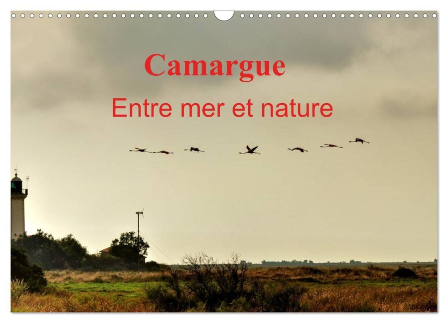 Camargue Entre mer et nature (Calendrier mural 2026 DIN A3 vertical), CALVENDO calendrier mensuel - Didier Sibourg