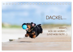 DACKEL... wissen was sie wollen... (und was nicht...) (Tischkalender 2026 DIN A5 quer), CALVENDO Monatskalender - Annett Mirsberger annettmirsberger. de