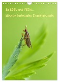 So EDEL und FEIN... können heimische Insekten sein (Wandkalender 2024 DIN A4 hoch), CALVENDO Monatskalender - Karin Berger (Kabefa)