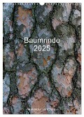 Baumrinde 2025 (Wandkalender 2025 DIN A3 hoch), CALVENDO Monatskalender - Alexander von Düren