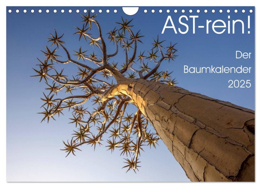Astrein! - Der Baumkalender 2025 (Wandkalender 2025 DIN A4 quer), CALVENDO Monatskalender - Irma van der Wiel