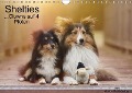 Shelites ... Clowns auf 4 Pfoten (Wandkalender immerwährend DIN A4 quer) - Marion Reiß-Seibert
