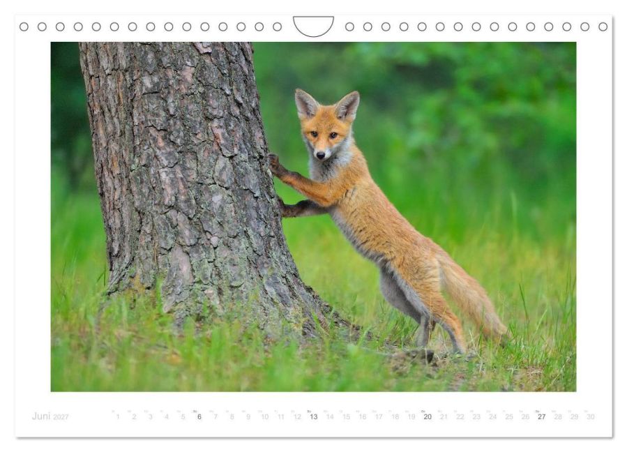 InsideView 11