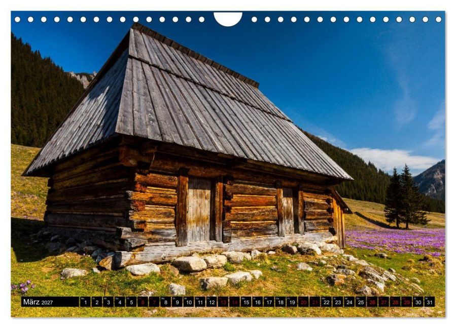 InsideView 8