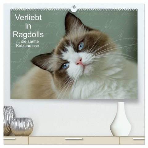 Verliebt in Ragdolls ... die sanfte Katzenrasse (hochwertiger Premium Wandkalender 2025 DIN A2 quer), Kunstdruck in Hochglanz - Marion Reiß-Seibert