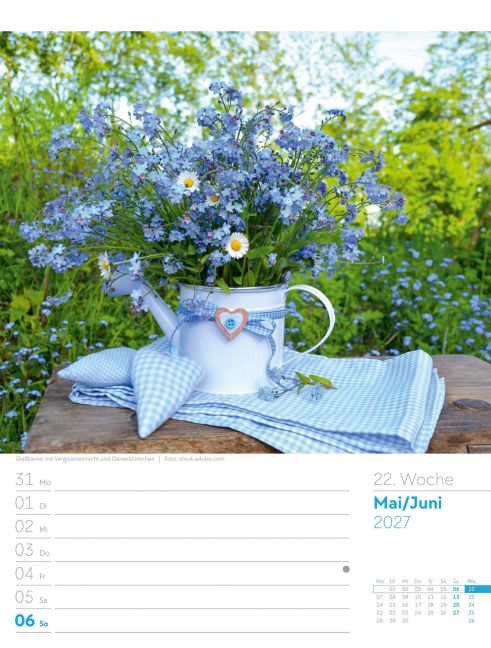 InsideView 26