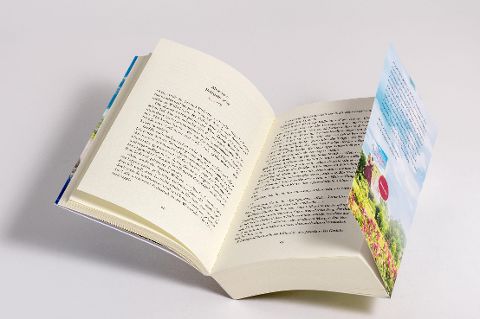 InsideView 5