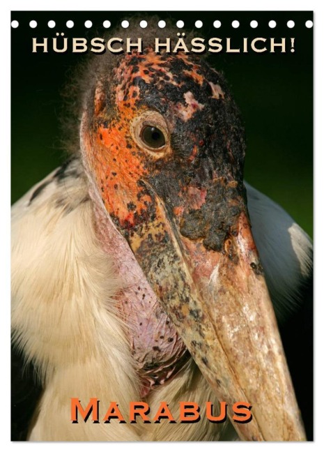 Hübsch hässlich! Marabus (Tischkalender 2026 DIN A5 hoch), CALVENDO Monatskalender - Martina Berg