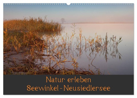 Natur erleben Seewinkel-Neusiedlersee (Wandkalender 2024 DIN A2 quer), CALVENDO Monatskalender - Johann Schörkhuber