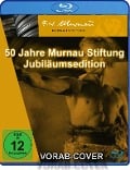 Cover-Bild zum Titel '50 Jahre Murnau-Stiftung' von ''