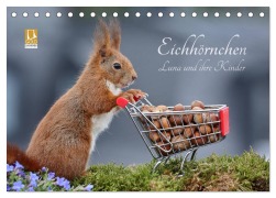 Eichhörnchen Luna und ihre Kinder (Tischkalender 2026 DIN A5 quer), CALVENDO Monatskalender - Tine Meier